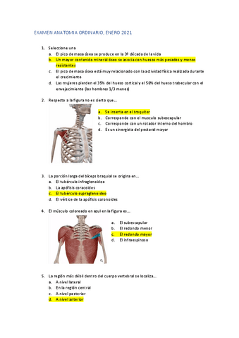 EXAMEN-ANATOMIA-ORDINARIO-2021.pdf