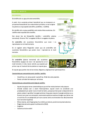 botanica-2n-parcial.pdf