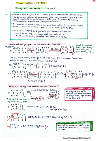 T2-Determinantes.pdf