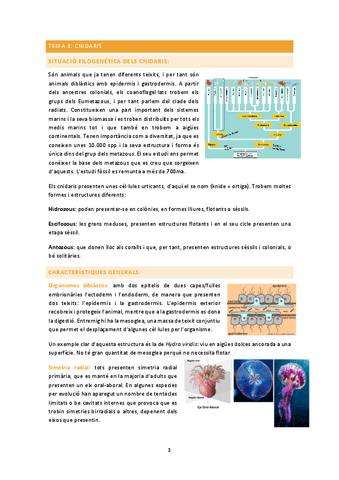 zoologia-2n-parcial.pdf