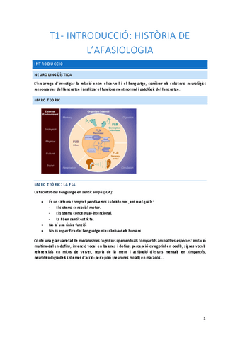 Apuntes-segundo-examen.pdf