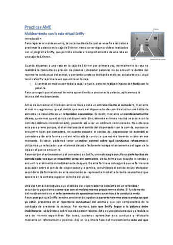 Practicas-No-presencials-AME.pdf