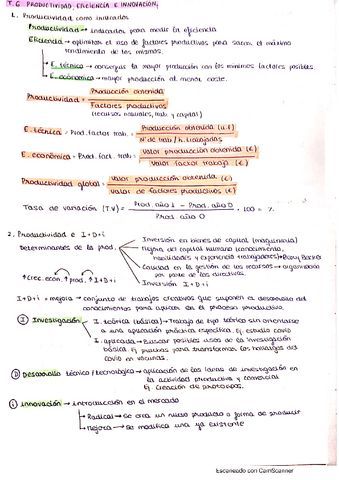 T.6-Productividad-eficiencia-e-innovacion.pdf
