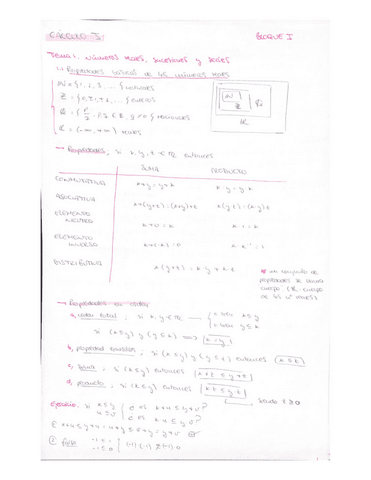 CalculoITema1Numeros-reales.pdf