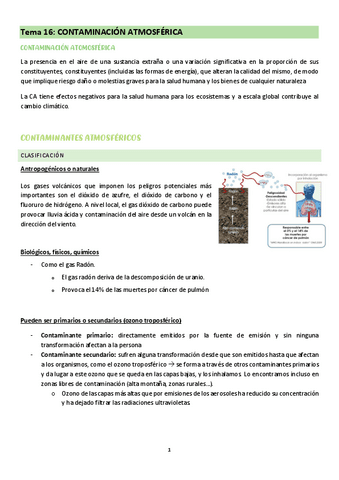 Tema-16-comunitaria.pdf