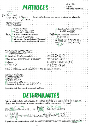 Matrices-resumen.pdf