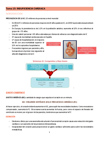 Tema-15-cuidados-del-adulto-I.pdf