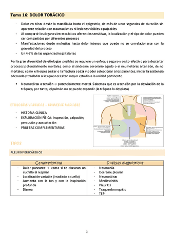 Tema-16-cuidados-del-adulto-I.pdf