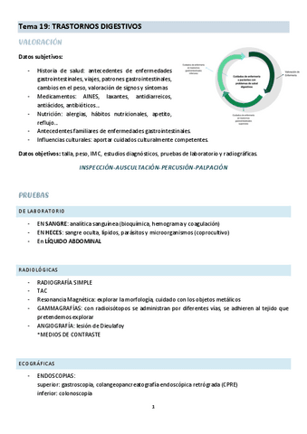 Tema-19-cuidados-del-adulto-I.pdf
