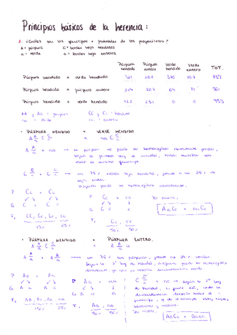Ejercicios-primer-cuatri.pdf