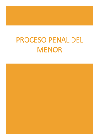 Apuntes-completos-Proceso-Penal-del-Menor.pdf