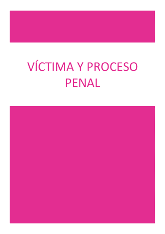 Apuntes-completos-Victima-y-Proceso-Penal.pdf