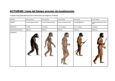 U5.-ACTIVIDAD-Linea-del-tiempo-proceso-de-hominizacion.pdf