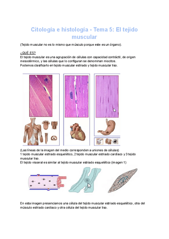 Citologia-e-histologia-Tema-5-El-tejido-muscular.pdf