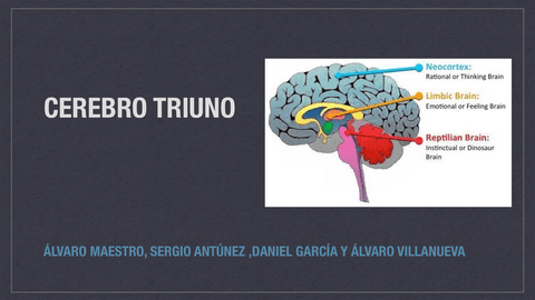 Cerebro-triuno.pdf