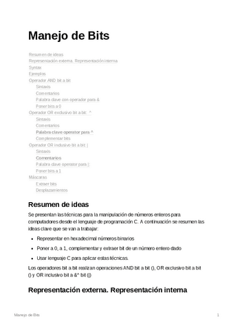 ManejodeBits.pdf