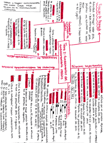 tema-2-esquema-aprendizaje.pdf