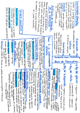 tema-3-esquema-aprendizaje.pdf