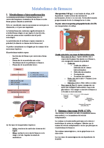 Metabolismo-de-farmacos.pdf