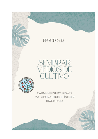 PRACTICA-10-CARMEN-PINERO-BRAVO.pdf