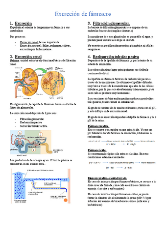 tema-4-Excrecion-de-farmacos.pdf