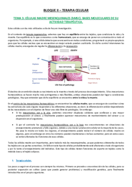 Tema 3 - CM Mesenquimales.pdf