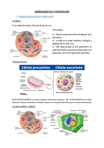 Generalidades-apuntes.pdf