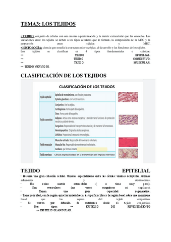 Tema-3-fisiopatologia-tejidos.pdf