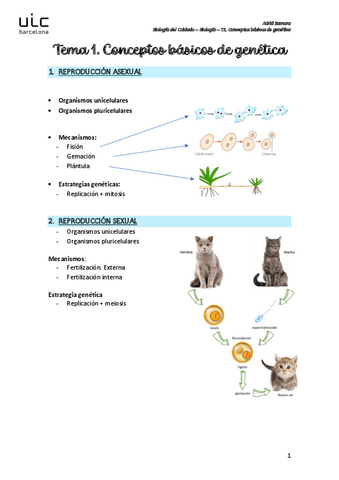 T1.-Conceptos-basicos-de-genetica.pdf