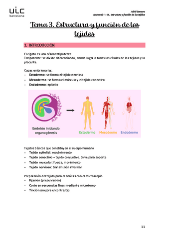 T3.-Estructura-y-funcion-de-los-tejidos.pdf