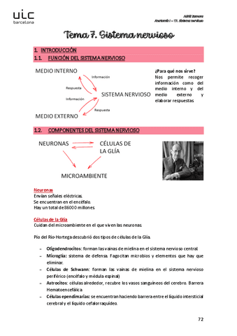 T7.-Sistema-nervioso.pdf