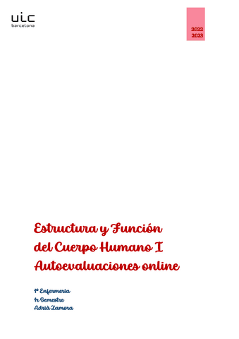 Autoevaluaciones.pdf