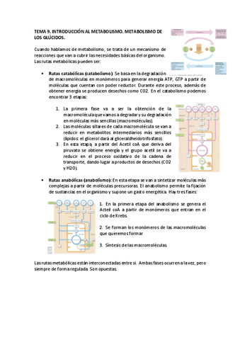 TEMA-9-y-13-bioq.pdf