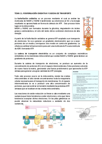 Tema-11-bioq.pdf