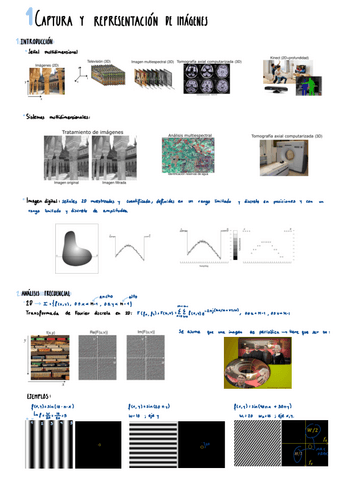 Apuntes-tema-1-FTDI.pdf