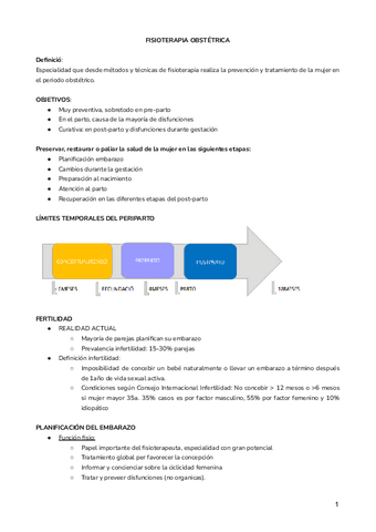 FISIOTERAPIA-OBSTETRICA.docx.pdf