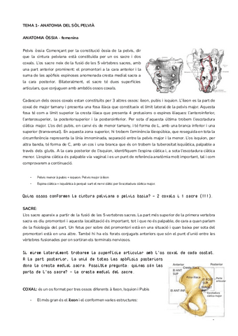 JUDITH.docx.pdf