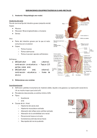 DISFUNCIONES-COLOPROCTOLOGICAS-O-ANO-RECTALES.docx.pdf