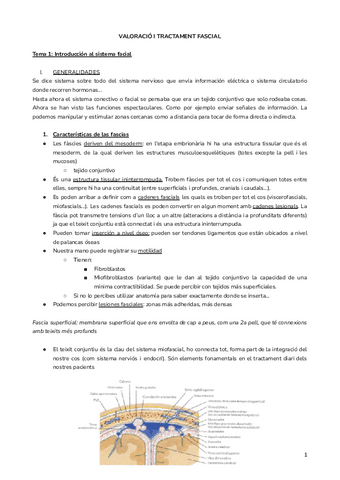 FASCIAS.docx.pdf