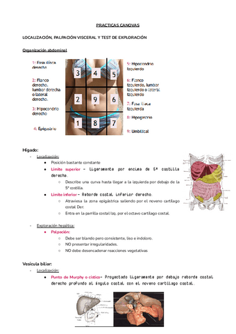 PRACTICAS-CANOVAS.docx.pdf