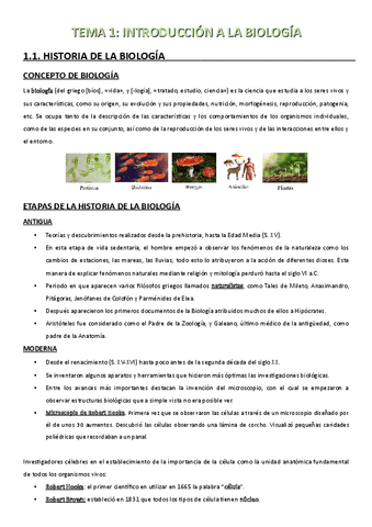 TEMA 1 INTRODUCCION.pdf