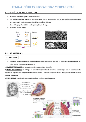 TEMA-4-BIO.pdf