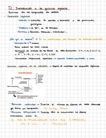 Tema-2-Quimica-Organica.pdf
