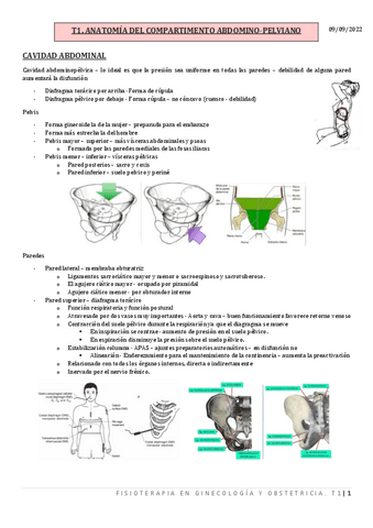 T1.-ANATOMIA-DEL-COMPARTIMENTO-ABDOMINOPELVIANO.pdf