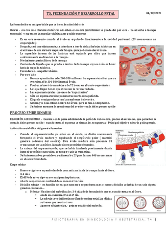 T5.-FECUNDACION.pdf