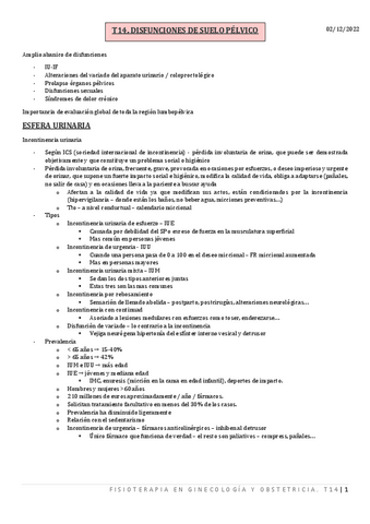 T14.-DISFUNCIONES-DE-SUELO-PELVICO.pdf