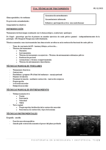 T16.-TRATAMIENTO-DE-SUELO-PELVICO.pdf