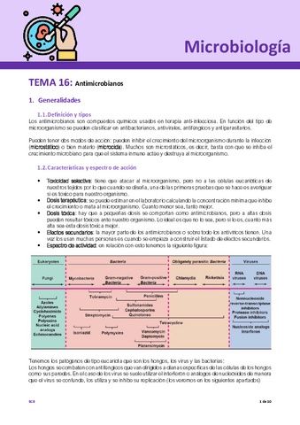 Tema-16-Micro.pdf