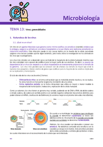 Tema-13-Micro.pdf