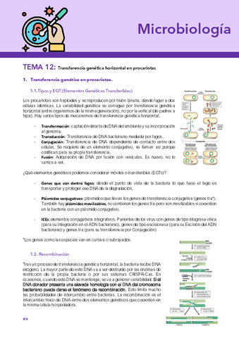 Tema-12-Micro.pdf